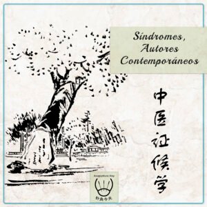 Síndromes, Autores Contemporáneos Zang Fu