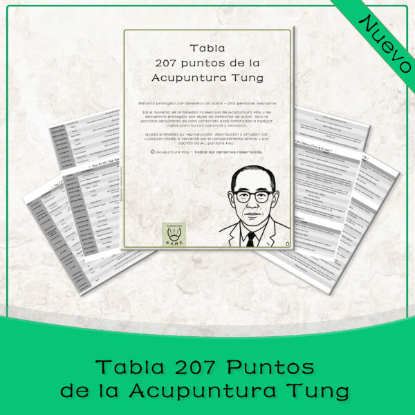 Tabla 207 Puntos Tung