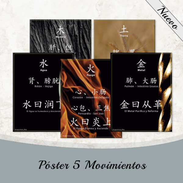 Póster 5 Movimientos