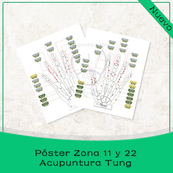 Póster Zona 11 y 22 de Tung