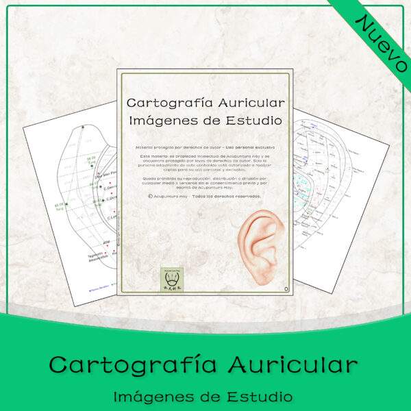 Cartografía Auricular